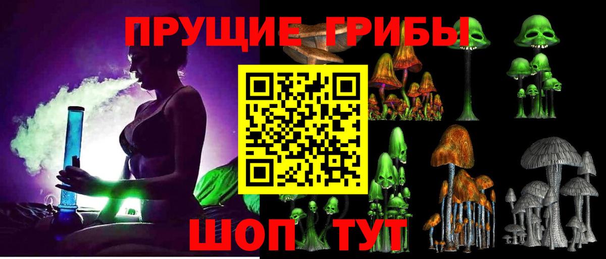 Галлюциногенные грибы Cubensis Чита